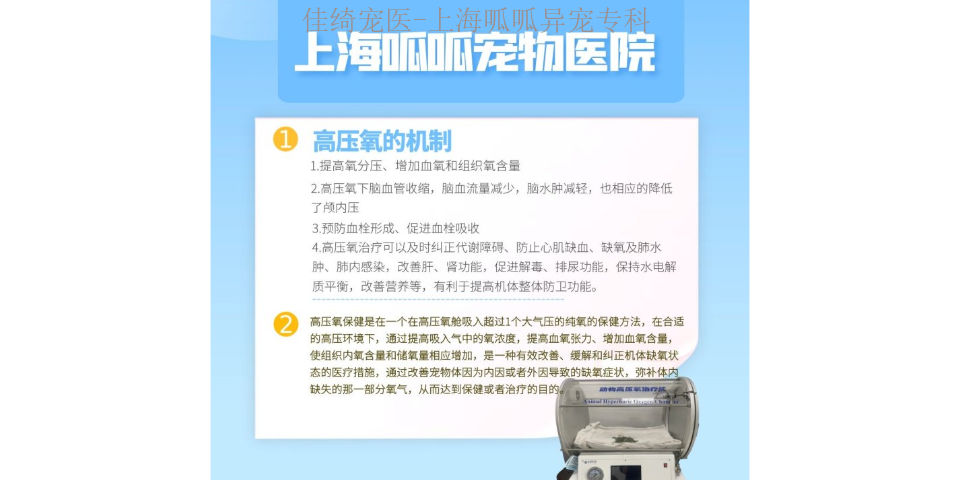 虹口區烏龜梗阻 上海佳綺寵物服務醫療供應