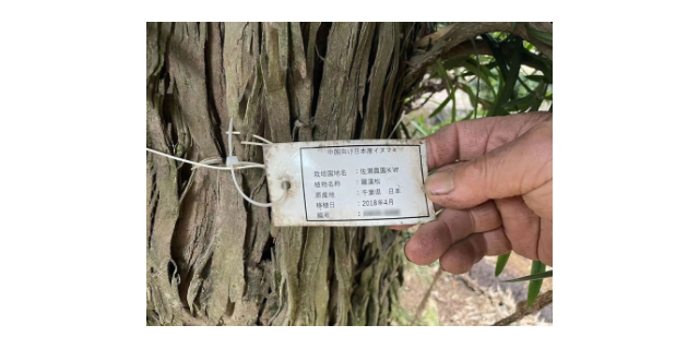 上海港保稅監(jiān)管倉庫一體化 上海匯逸國際貨運供應(yīng)
