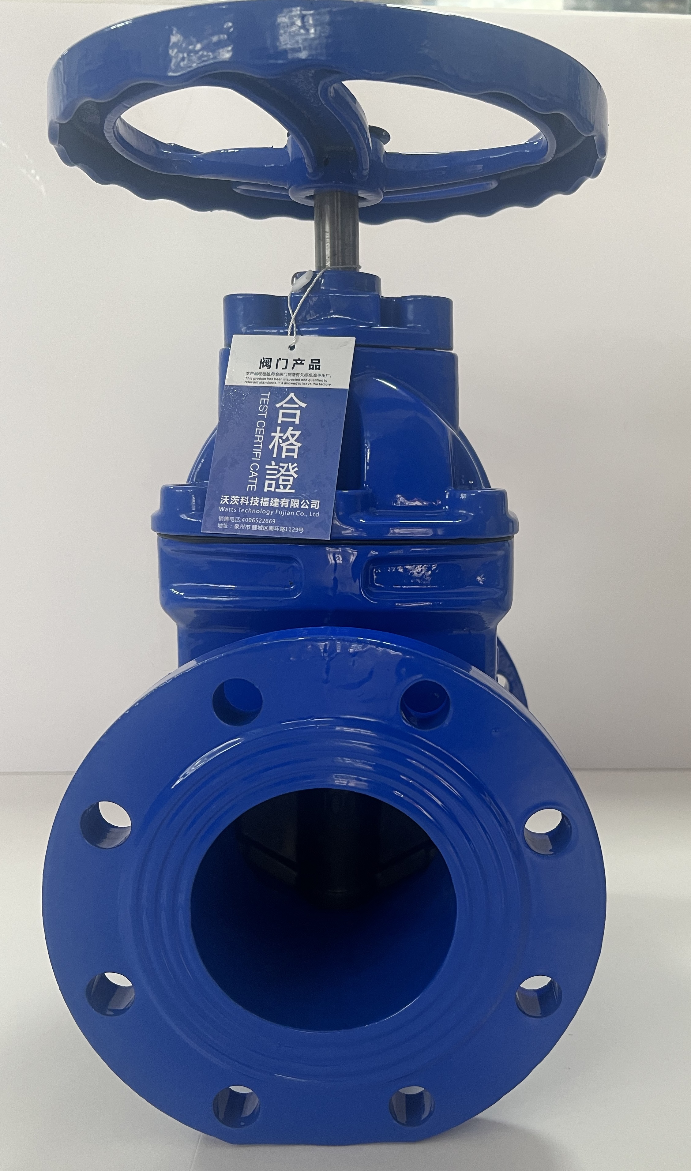 沃茨閥門彈性座暗桿RVHX-16QDN100閘閥