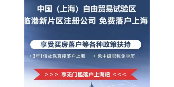 自贸区临港新片区个人注册公司需要哪些资料,临港新片区