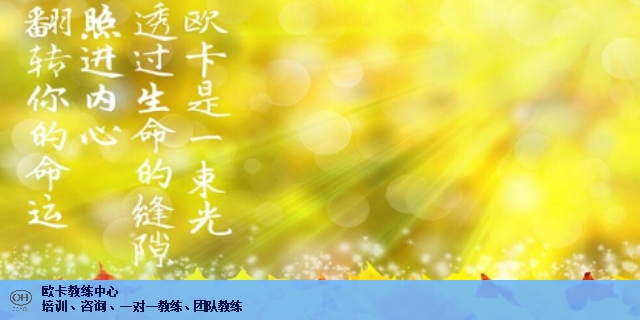 上海專業(yè)歐卡團隊培訓怎么做 上海歐學管理咨詢供應