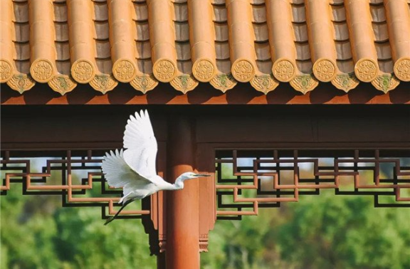 徐匯區(qū)樹葬陵園哪家好 上海南院實業(yè)供應(yīng)