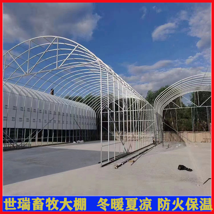 規?；Ｉ岽笈锝ㄔO 肉牛養殖棚安裝 牛棚搭建廠家