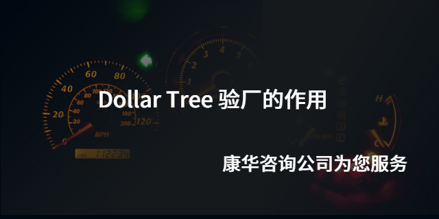 苏州DT验厂DollerTree验厂认证公司 江苏康华企业管理咨询供应