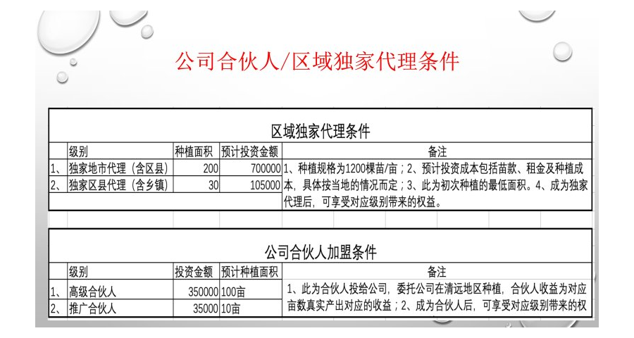 连南蛋白菊食用方法,蛋白菊