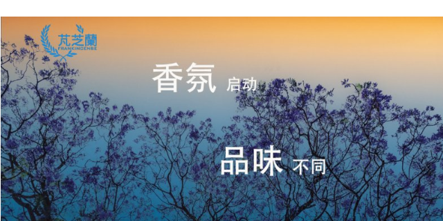 深圳整形醫院香氛精油廠家電話 誠信為本 深圳芃芝蘭科技供應