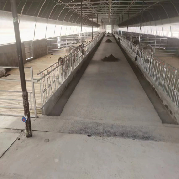 羊場竹排材質漏糞板 淄博畜牧養羊設備廠家 濕度控制