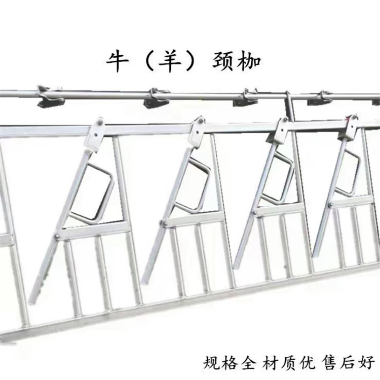 日照羊場養殖設備 可為顧客量身定制 羊廠養殖設備