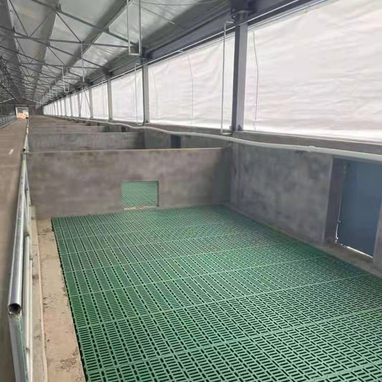 養殖場采食防疫頸枷欄 濰坊養殖設備 可為顧客量身定制