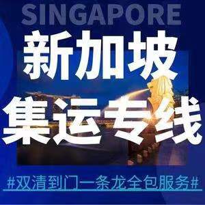 中國到新加坡集運服務