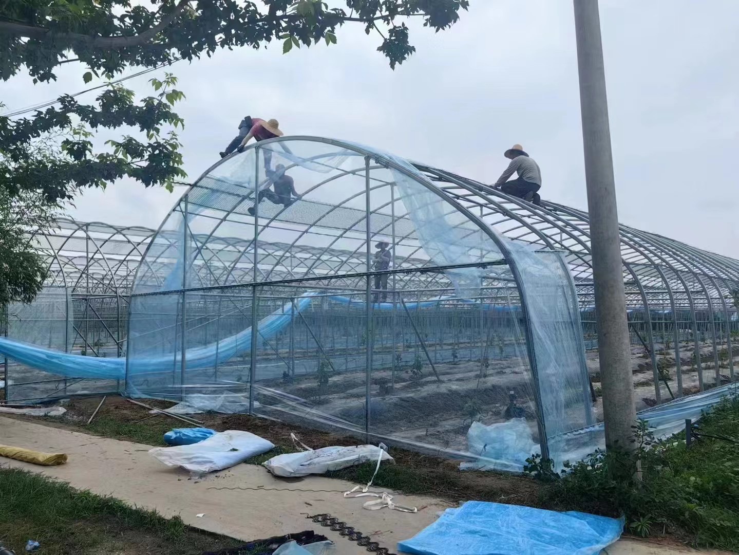 虹豐高透光PO膜無(wú)滴消霧大棚膜透明塑料膜