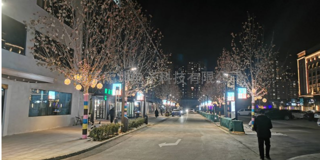 重庆智慧路灯前景,智慧路灯