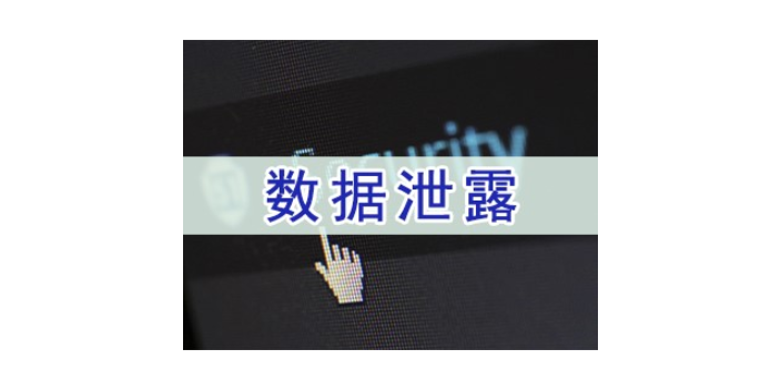 上海一款好用数据加密加密软件 欢迎咨询 上海迅软信息科技供应