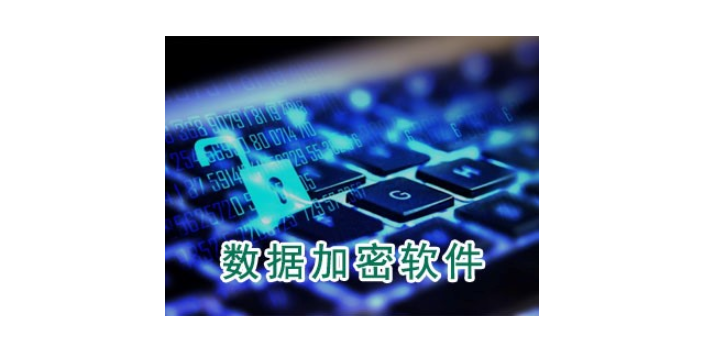 上海好用的數據加密牌子 服務為先 上海迅軟信息科技供應