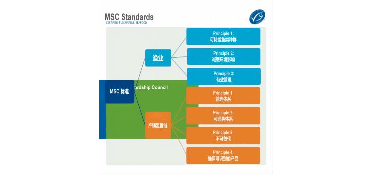 MSC认证咨询介绍