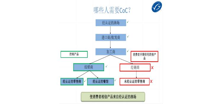 MSC怎么申请