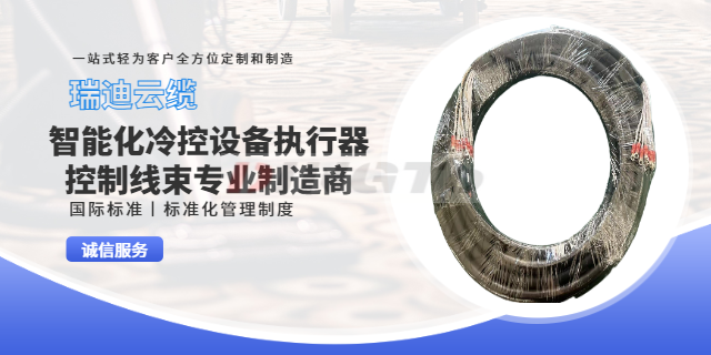 上海智能機床總成工業設備線束定做 歡迎來電 上海瑞迪云纜供應