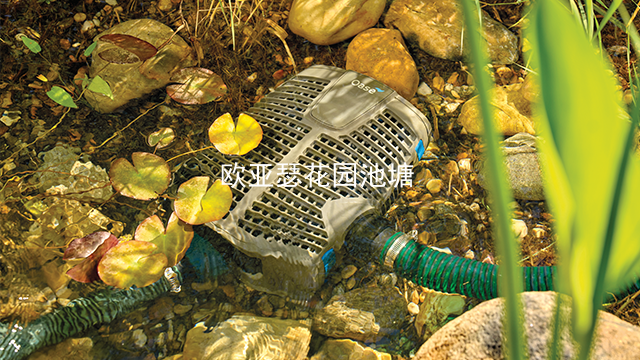 無錫水泵供應商 歡迎來電 歐亞瑟水藝供應