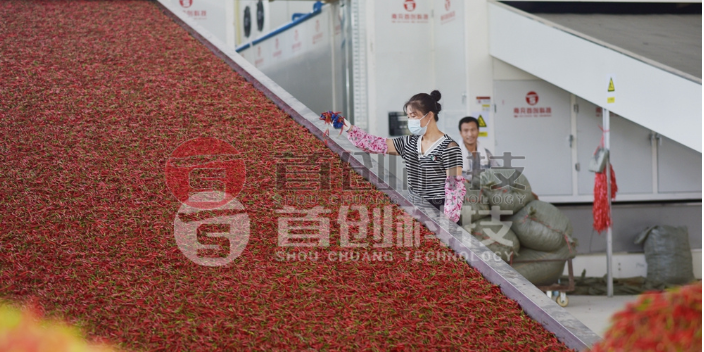 南充多层网带式辣椒烘干设备批发 生产厂家 四川南充**科技供应