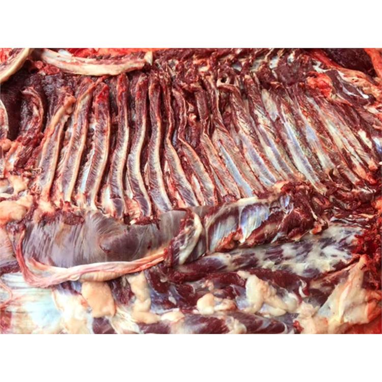 生驢肉 興安盟供應生驢肉 廠家電話