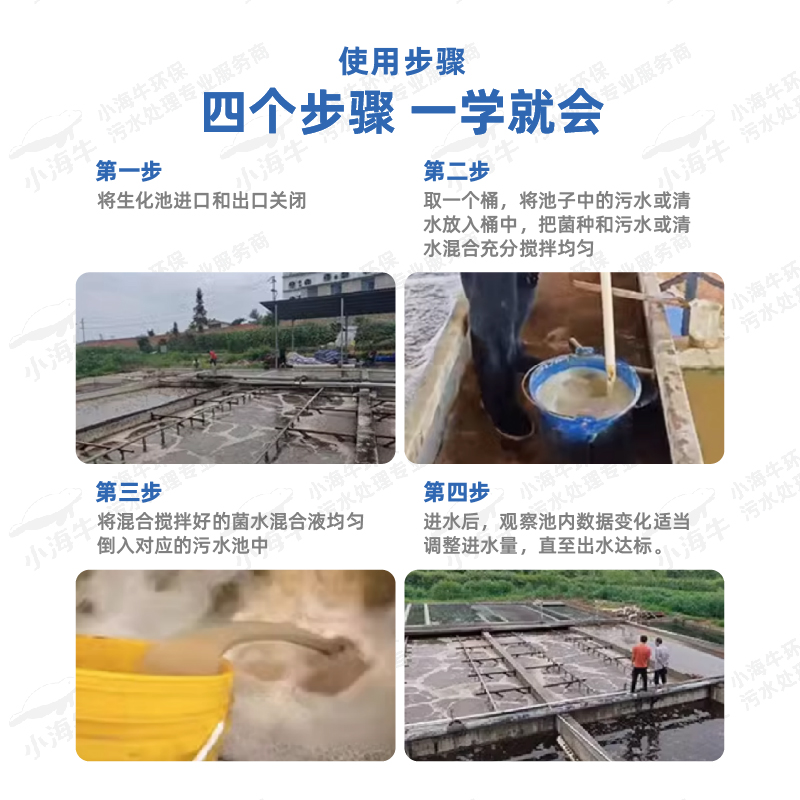 小海牛微生物 反硝化菌 脱氮复合菌 降解去除总氮 缺氧池 污水处理菌剂