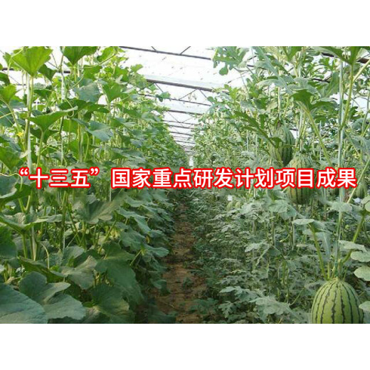 光能宝1号po膜转光膜-山东虹丰塑业有限公司