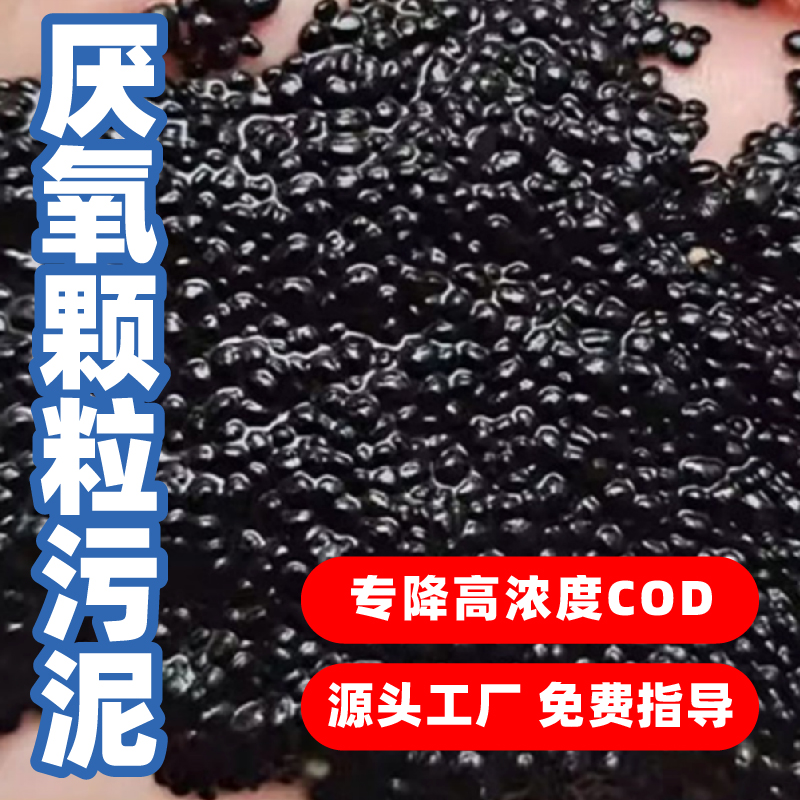 山东小海牛厌氧颗粒污泥污水处理厌氧塔培菌降解COD