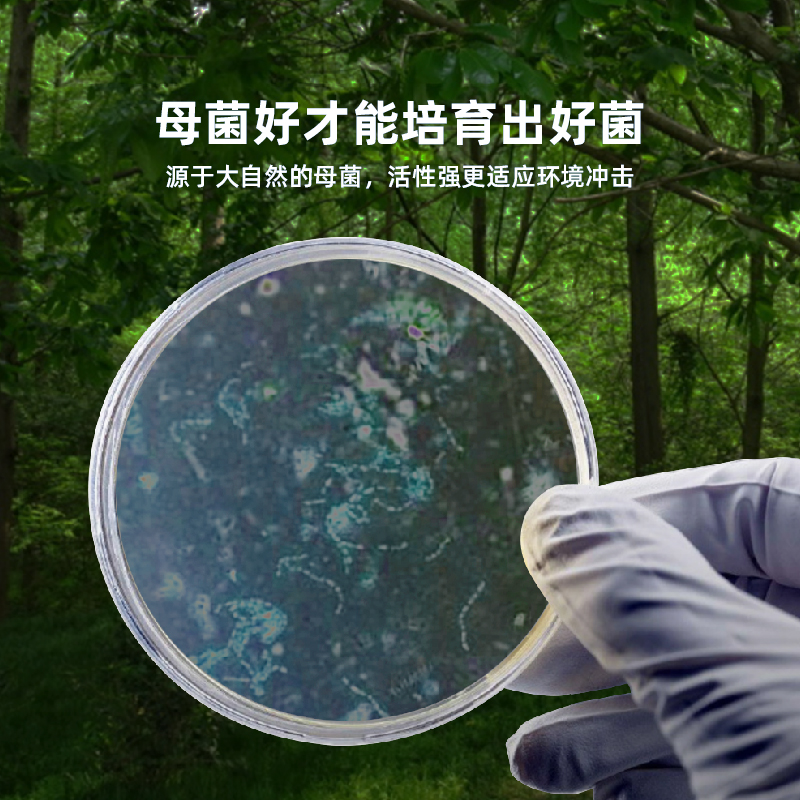 山東小海牛微生物反硝化菌脫氮復合菌降解去除總氮缺氧池污水處理菌劑