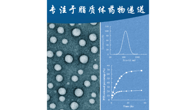 山西脂质体载药技术服务公司 欢迎咨询 南京星叶生物科技供应