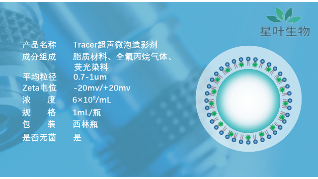 重慶超聲微泡定做 推薦咨詢 南京星葉生物科技供應