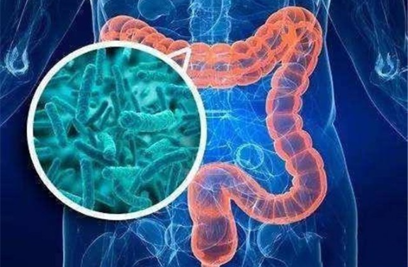 海南有害腸道菌群檢測供應商 歡迎來電 美益添生物醫(yī)藥供應