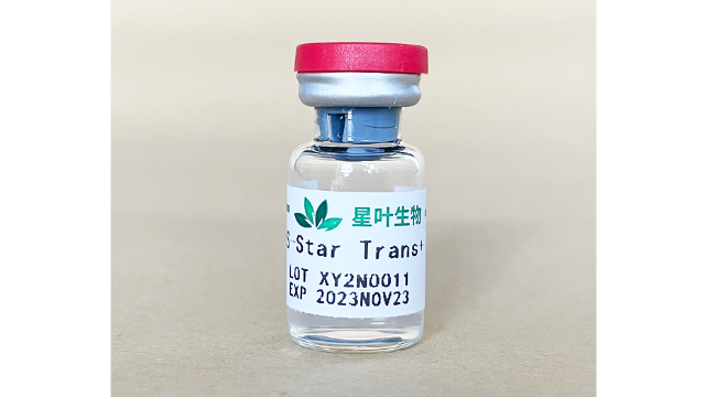 山東超聲微泡研究 歡迎來(lái)電 南京星葉生物科技供應(yīng)