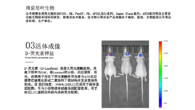 上海生物发光荧光染料,荧光染料