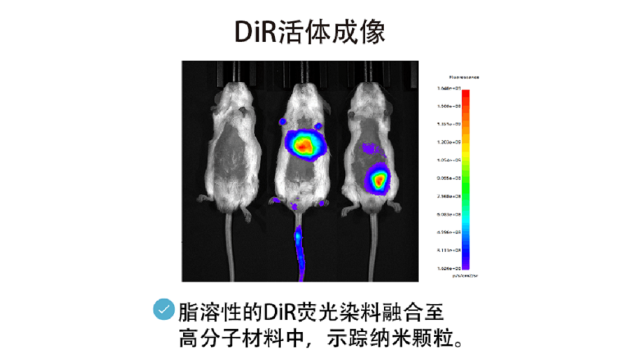 山东显微镜荧光染料,荧光染料