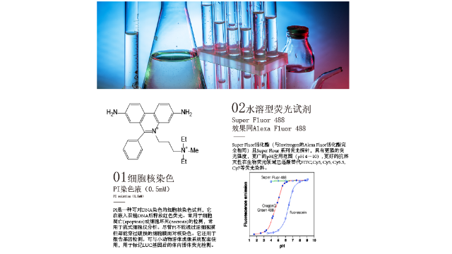 中国香港荧光染料高分子,荧光染料