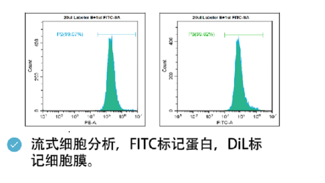 北京北京荧光染料 欢迎来电 南京星叶生物科技供应