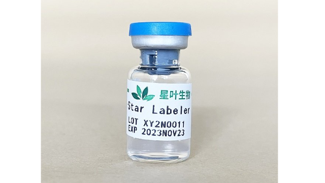 山東肺靶向超聲微泡 誠信服務 南京星葉生物科技供應