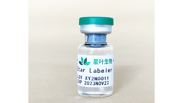 中國閩臺超聲微泡氣泡 來電咨詢 南京星葉生物科技供應(yīng)