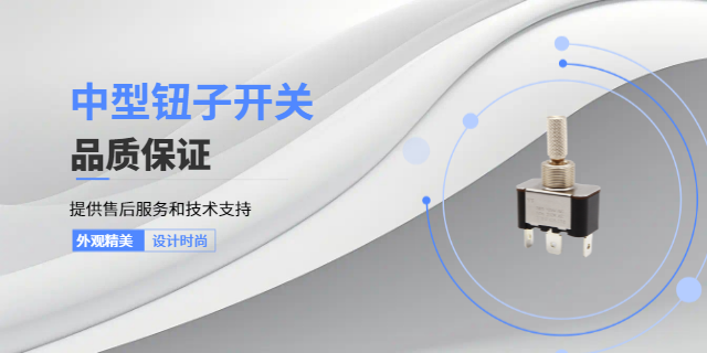 东莞按键开关开关安全保护功能 源丰电子供应