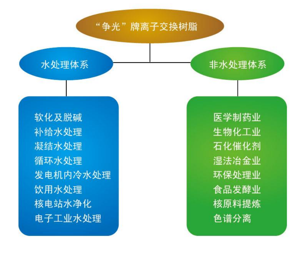 爭光氨氮廢水處理**樹脂  ZGNH001 產品說明書