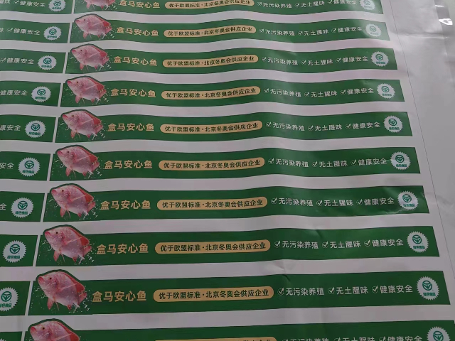 雙面宣傳冊寫真設計 上海海誠文化傳媒供應