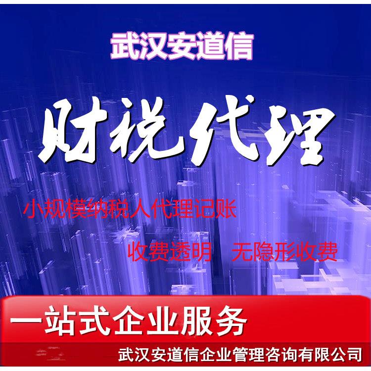 陽新財(cái)稅代理 江夏區(qū)公司注冊