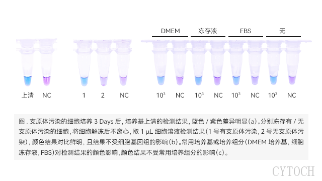 支原體預防價格 上海世途科生物科技供應