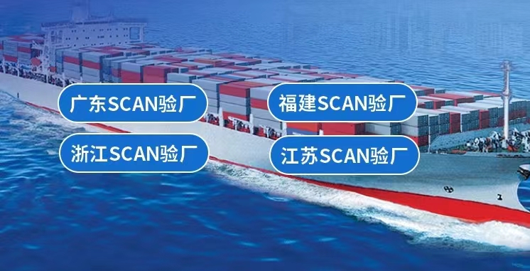 SCAN审核