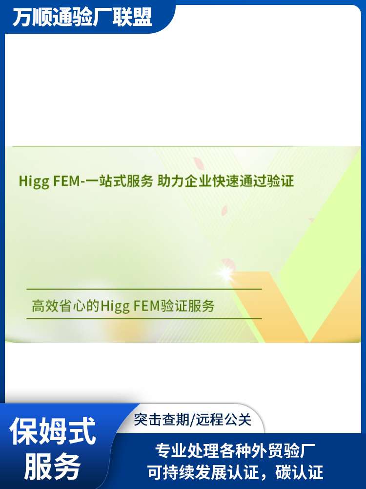 FEM审核