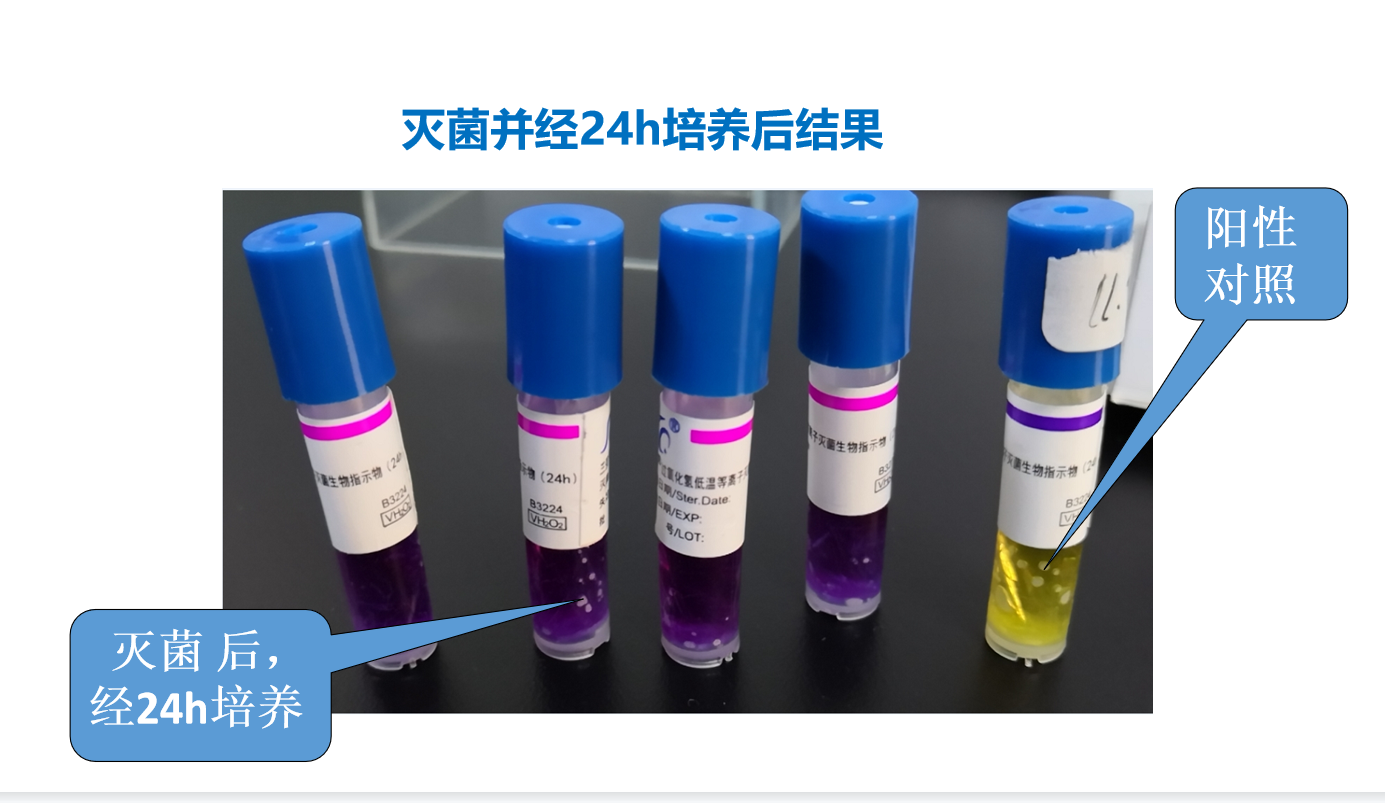 三強醫(yī)療三強牌過氧化氫低溫等離子體滅菌生物指示劑 滅菌指示物