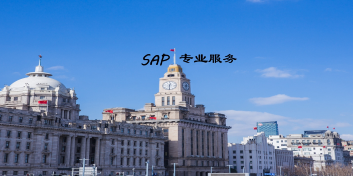 上海質量SAP維護運維公司 服務至上 上海速合信息科技供應