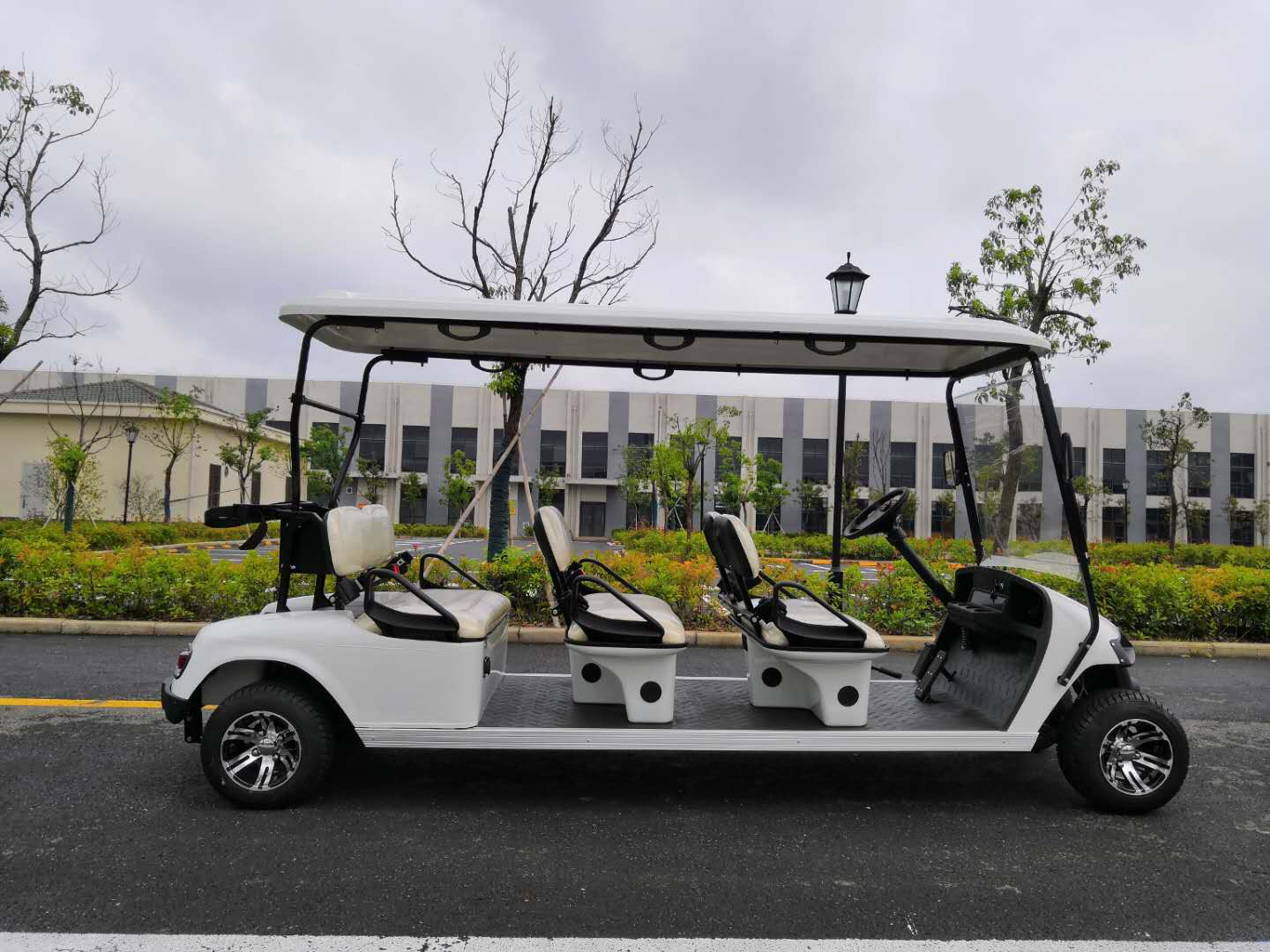 8座高爾夫球車，電動高爾夫8+3座