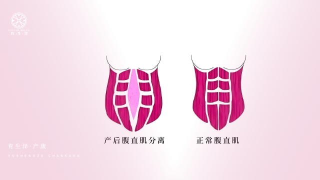 云南有特色產(chǎn)康怎么樣 育生澤供應(yīng)