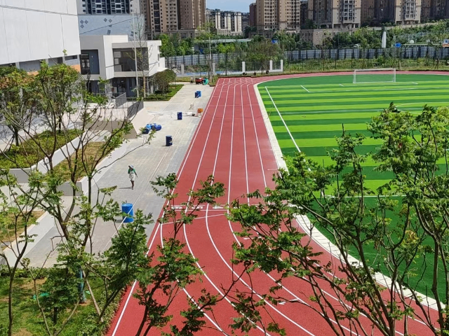 江门足球场人造草坪厂家,人造草坪